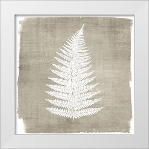 Natures Fern 1 White Modern Wood Framed Art Print by Brown, Denise