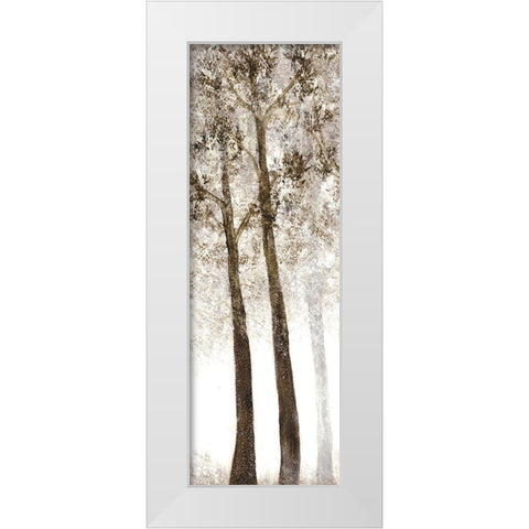 Wooded Grove 2 White Modern Wood Framed Art Print by Charest, Doris
