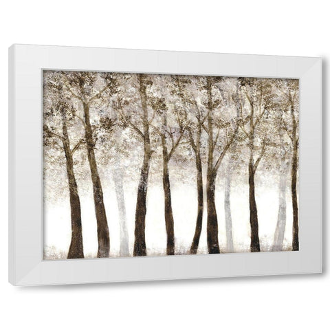 Wooded Grove White Modern Wood Framed Art Print by Charest, Doris