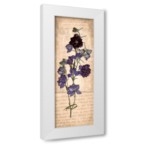 July Larkspur White Modern Wood Framed Art Print by Stimson, Diane
