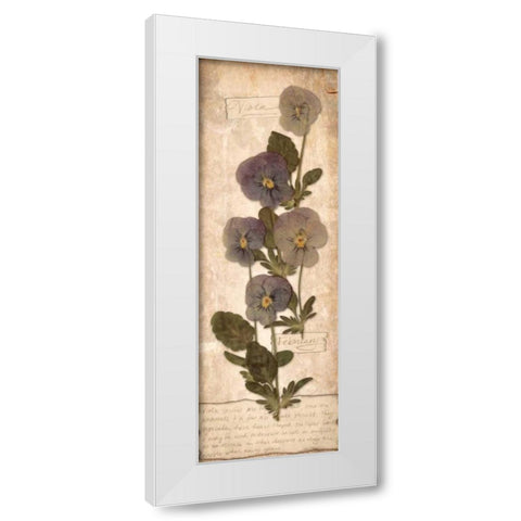 February Violet White Modern Wood Framed Art Print by Stimson, Diane