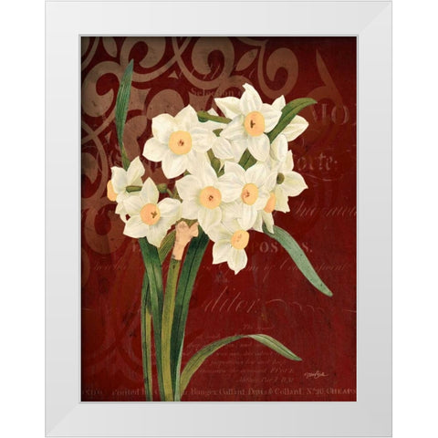 Narcissus 1 White Modern Wood Framed Art Print by Stimson, Diane