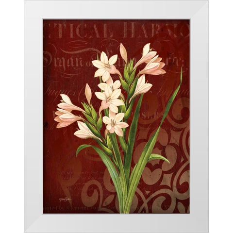 Narcissus 2 White Modern Wood Framed Art Print by Stimson, Diane