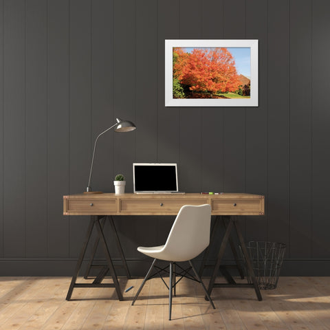 Autumnal 1 White Modern Wood Framed Art Print by Stimson, Diane