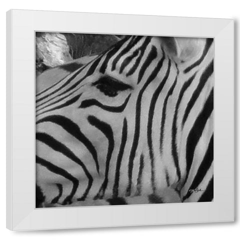 IntoThe Wild 1 White Modern Wood Framed Art Print by Stimson, Diane