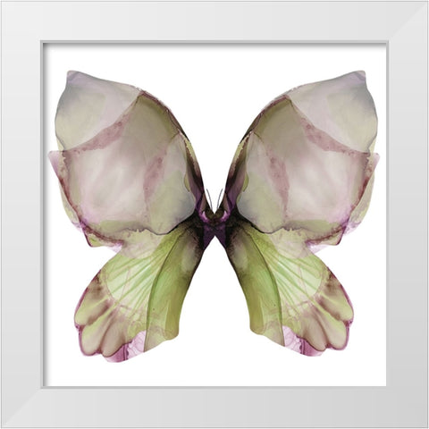 Floral Butterfly 1 White Modern Wood Framed Art Print by Debs, Emma Catherine