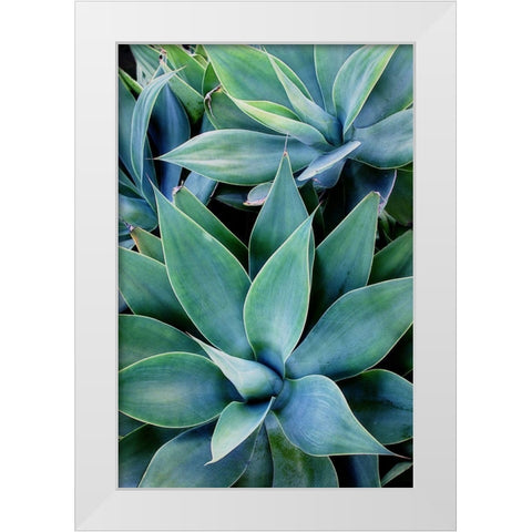 Deep Dive I White Modern Wood Framed Art Print by Urquhart, Elizabeth