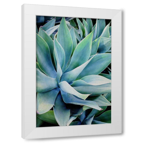 Deep Dive II White Modern Wood Framed Art Print by Urquhart, Elizabeth