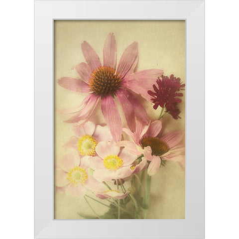 Late Summer Blooms 2 White Modern Wood Framed Art Print by Urquhart, Elizabeth