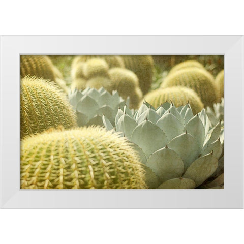 Pincushions 1 White Modern Wood Framed Art Print by Urquhart, Elizabeth