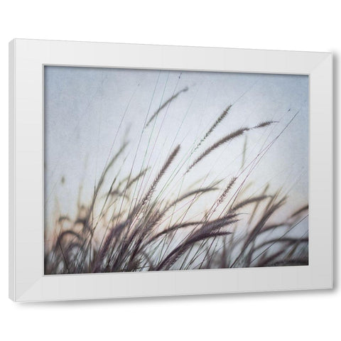 Misty Morning VI White Modern Wood Framed Art Print by Urquhart, Elizabeth