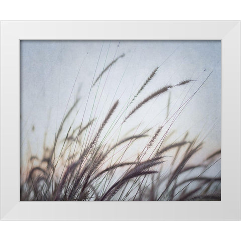 Misty Morning VI White Modern Wood Framed Art Print by Urquhart, Elizabeth
