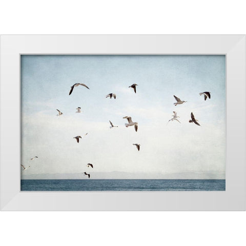 Soar I White Modern Wood Framed Art Print by Urquhart, Elizabeth