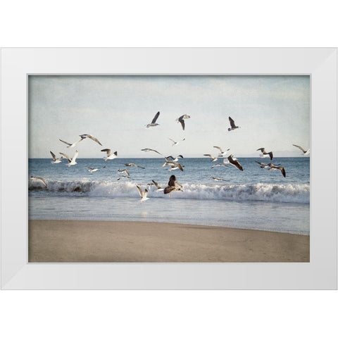 Soar II White Modern Wood Framed Art Print by Urquhart, Elizabeth