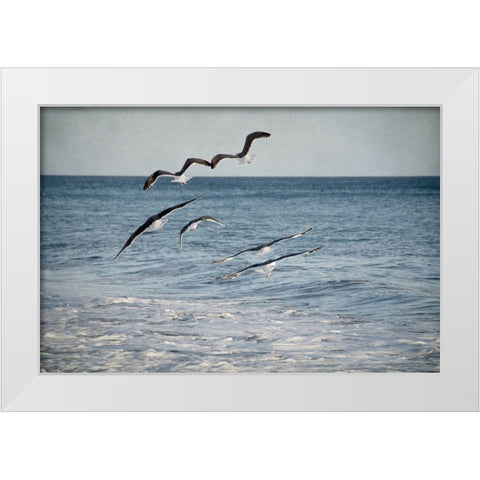 Soar III White Modern Wood Framed Art Print by Urquhart, Elizabeth