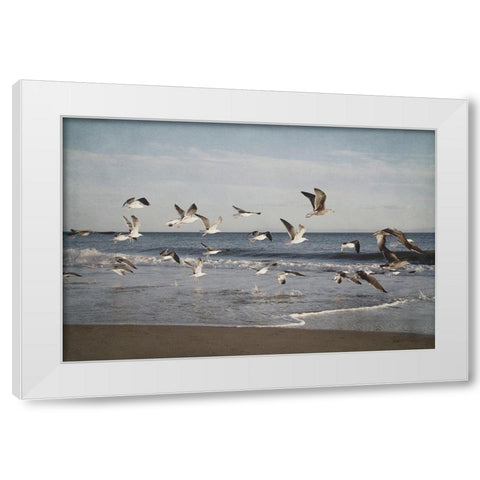 Soar IV White Modern Wood Framed Art Print by Urquhart, Elizabeth