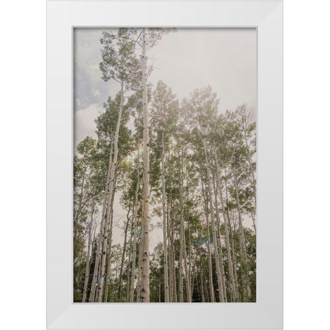 Aspen Forest 2 White Modern Wood Framed Art Print by Urquhart, Elizabeth