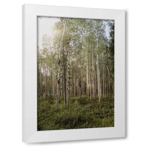 Aspen Forest 4 White Modern Wood Framed Art Print by Urquhart, Elizabeth