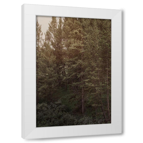 Pine Wilderness 2 White Modern Wood Framed Art Print by Urquhart, Elizabeth