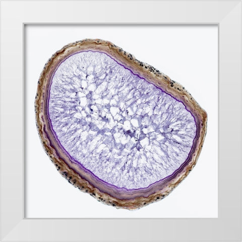 Geode 8 White Modern Wood Framed Art Print by Urquhart, Elizabeth