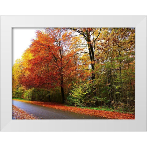 Amsterdam Woods White Modern Wood Framed Art Print by Frances, Stephanie