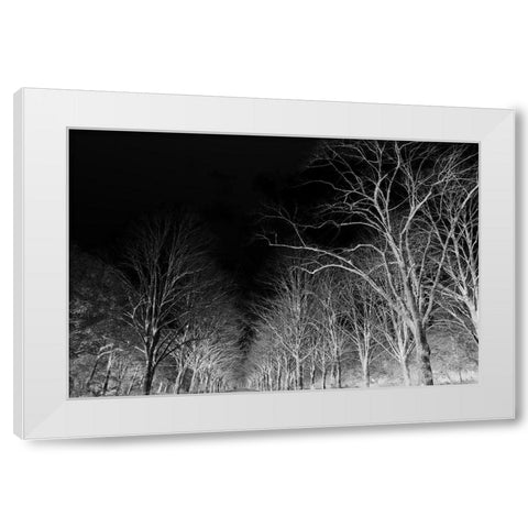 Branches White Modern Wood Framed Art Print by Frances, Stephanie