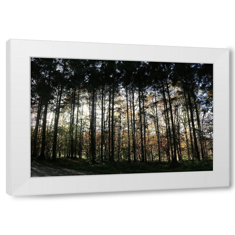 Over There White Modern Wood Framed Art Print by Frances, Stephanie