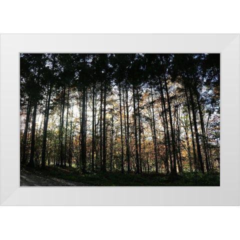 Over There White Modern Wood Framed Art Print by Frances, Stephanie