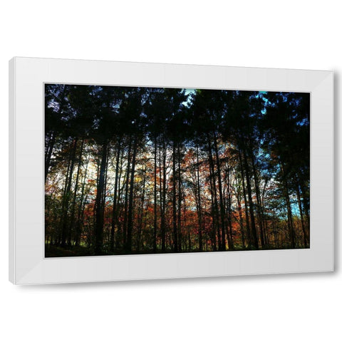 Over There 2 White Modern Wood Framed Art Print by Frances, Stephanie