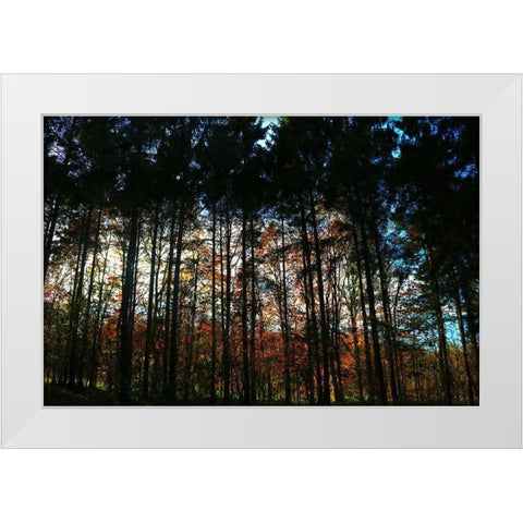 Over There 2 White Modern Wood Framed Art Print by Frances, Stephanie
