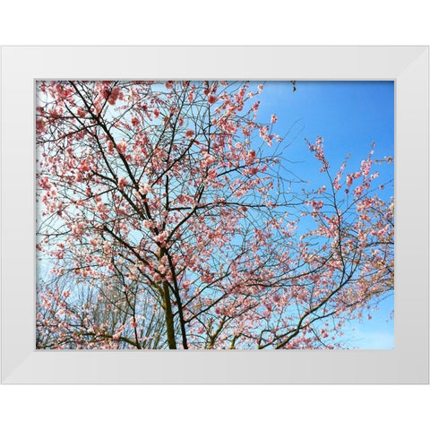 Blossom Pink Trees White Modern Wood Framed Art Print by Frances, Stephanie