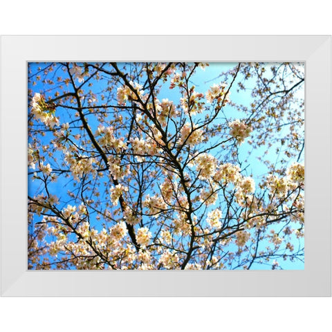 Yellow Blossoms 2 White Modern Wood Framed Art Print by Frances, Stephanie