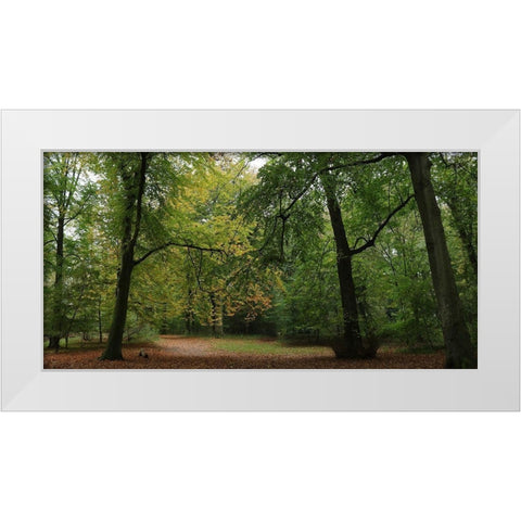 Woods Wanderer 1 White Modern Wood Framed Art Print by Frances, Stephanie