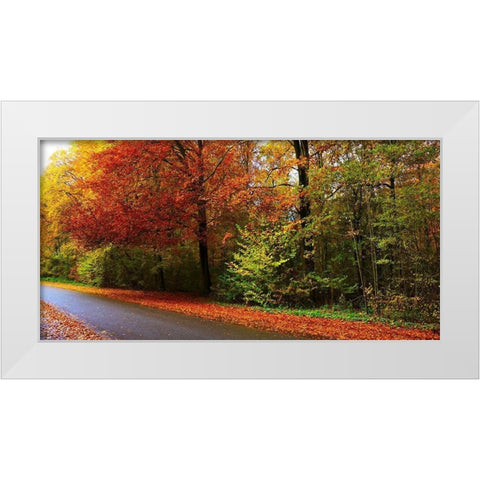 Woods Wanderer 2 White Modern Wood Framed Art Print by Frances, Stephanie