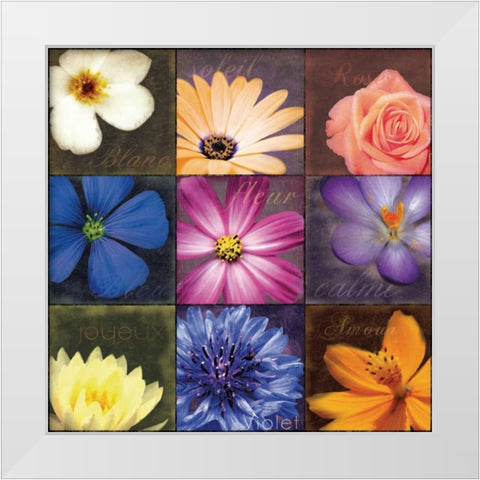 Flower Patch White Modern Wood Framed Art Print by Gibbons, Lauren