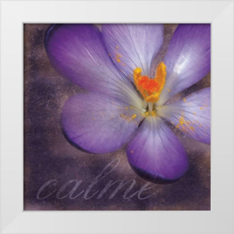 Calm Flower White Modern Wood Framed Art Print by Gibbons, Lauren