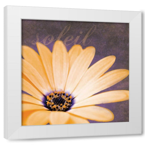 Orange Flower White Modern Wood Framed Art Print by Gibbons, Lauren