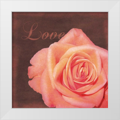 Love Rose White Modern Wood Framed Art Print by Gibbons, Lauren