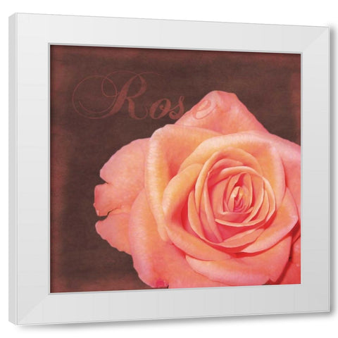 Rose Flower White Modern Wood Framed Art Print by Gibbons, Lauren