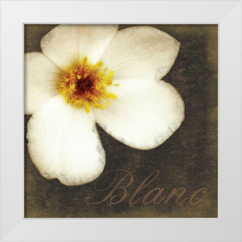 Blanc Flower White Modern Wood Framed Art Print by Gibbons, Lauren