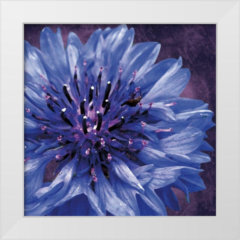 Purple Flower White Modern Wood Framed Art Print by Gibbons, Lauren