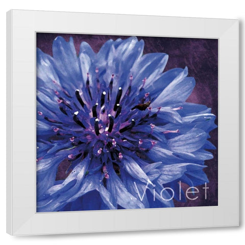 Violet Flower White Modern Wood Framed Art Print by Gibbons, Lauren