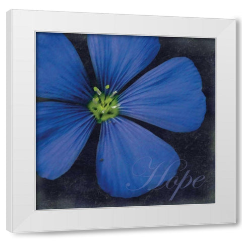 Hope Flower White Modern Wood Framed Art Print by Gibbons, Lauren