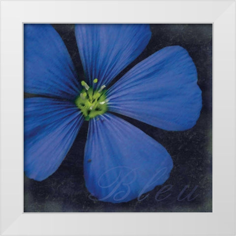 Bleu Flower White Modern Wood Framed Art Print by Gibbons, Lauren