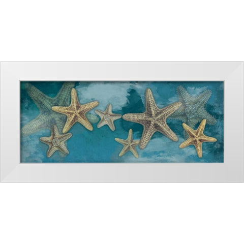 Starfish White Modern Wood Framed Art Print by Grey, Jace