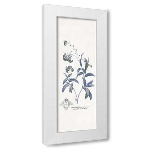Beautiful Flowers White Modern Wood Framed Art Print by Grey, Jace