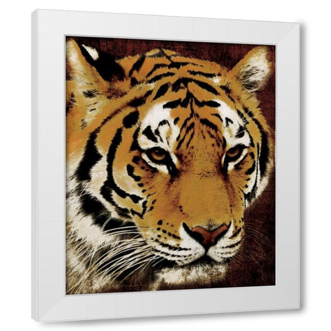 Tiger White Modern Wood Framed Art Print by Grey, Jace