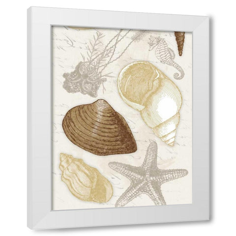 Shells White Modern Wood Framed Art Print by Grey, Jace