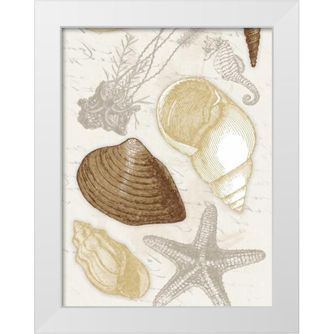 Shells White Modern Wood Framed Art Print by Grey, Jace