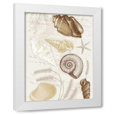 Shells Mate White Modern Wood Framed Art Print by Grey, Jace